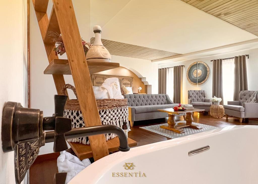 The Essentia Hotel San Miguel San Miguel de Allende Eksteriør billede
