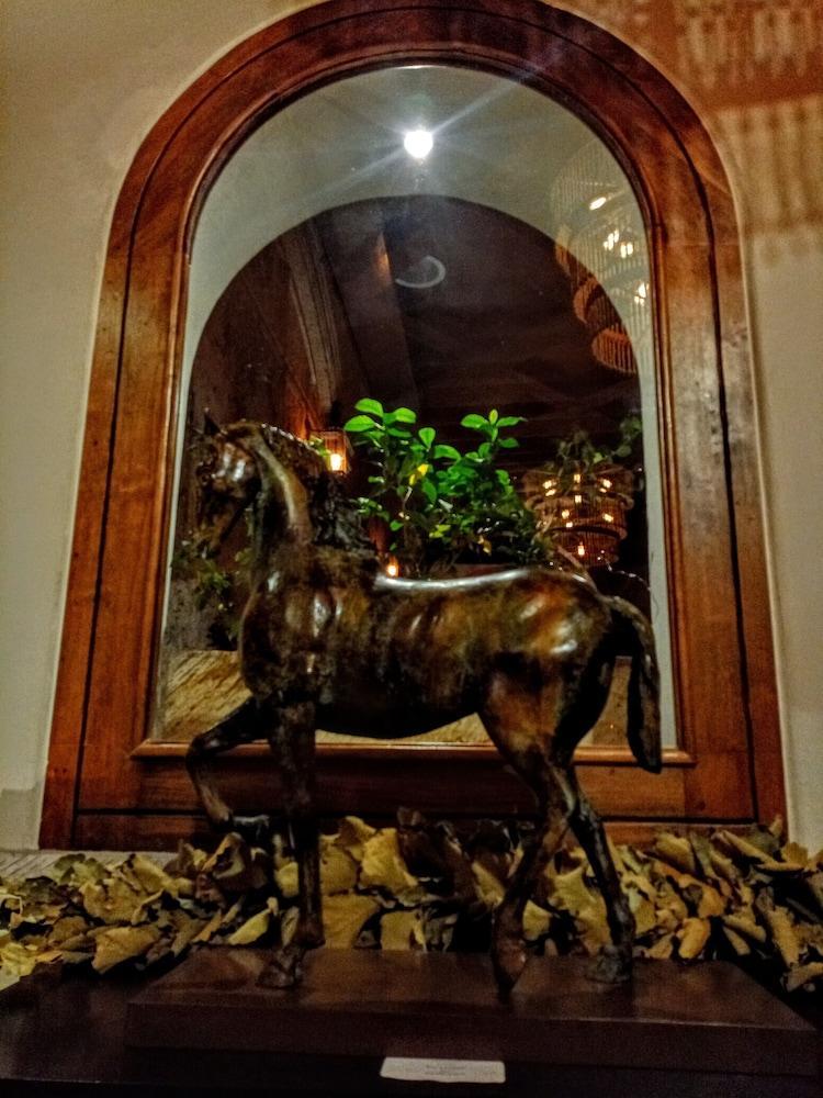 The Essentia Hotel San Miguel San Miguel de Allende Eksteriør billede