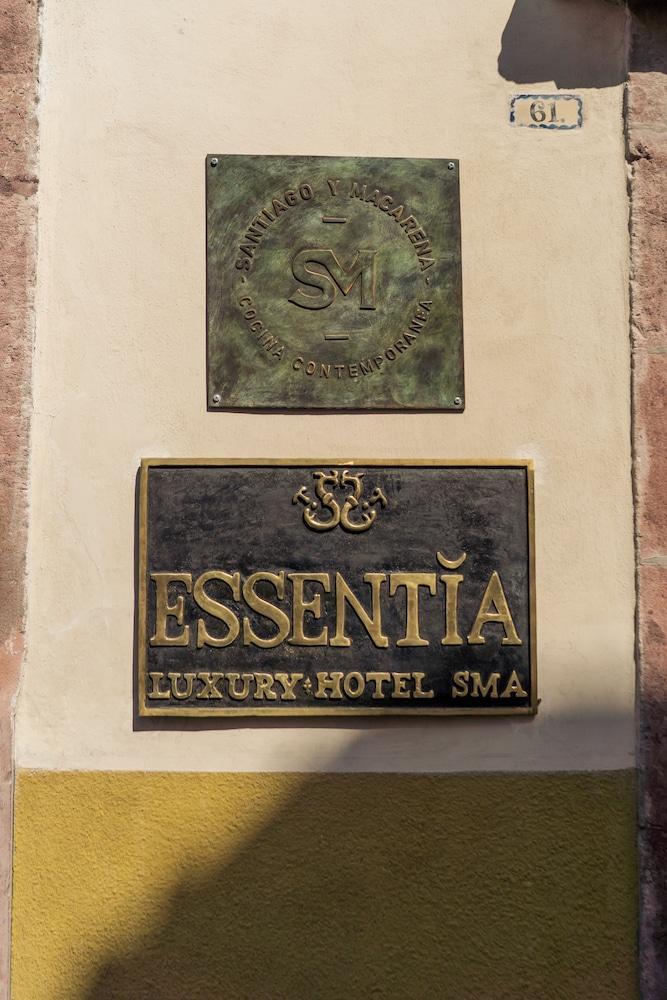 The Essentia Hotel San Miguel San Miguel de Allende Eksteriør billede
